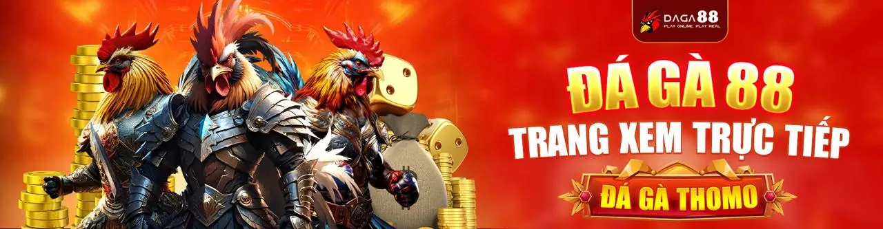Đá gà trực tiếp tại shbet65 nhà cái